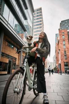 Bild på en cykel med cykelkorg och hund i från Kvisp