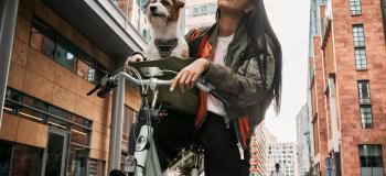 Bild på en cykel med cykelkorg och hund i från Kvisp