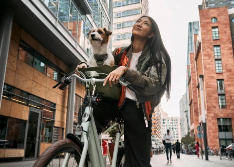 Bild på en cykel med cykelkorg och hund i från Kvisp