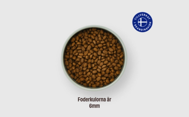 Matskål med kattfoder. Foderkulorna är 6-7 mm stora.