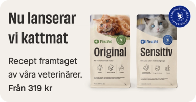 Cat menu banner