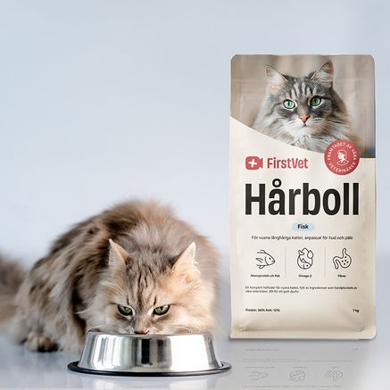 En vitaktig katt som äter mat ur en matskål. Snett bakom står en påse kattmat av FirstVet Hårboll.