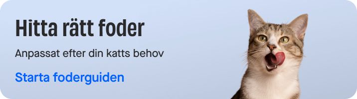 Release of food guide CAT product page