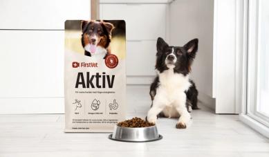 En bild på en gullig hund som äter FirstVet Aktiv 