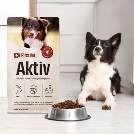 En bild på en gullig hund som äter FirstVet Aktiv