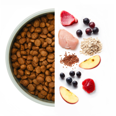 Skål med torrfoder till vänster och råvaror till höger, inklusive anka, svarta vinbär, kyckling, havre, linfrön och äppelbitar.