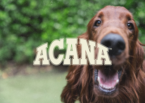 Acana logotype