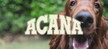 Acana logotype
