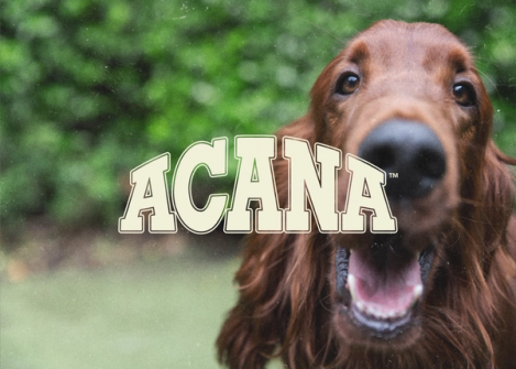 Acana logotype
