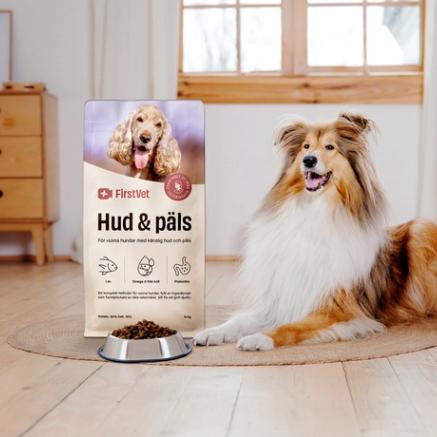 En bild på hundmaten "Hud & Päls" från FirstVet med en colliehund bredvid
