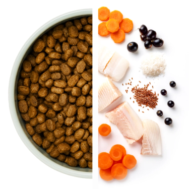 Skål med torrfoder till vänster och råvaror till höger, inklusive morötter, vit fisk, psylliumfrön och ris.