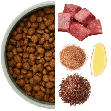 Skål med torrfoder till vänster och råvaror till höger, inklusive nötkött, psylliumfrön och fiskolja.