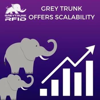 GREY TRUNK OFFERS SCALABILITY
