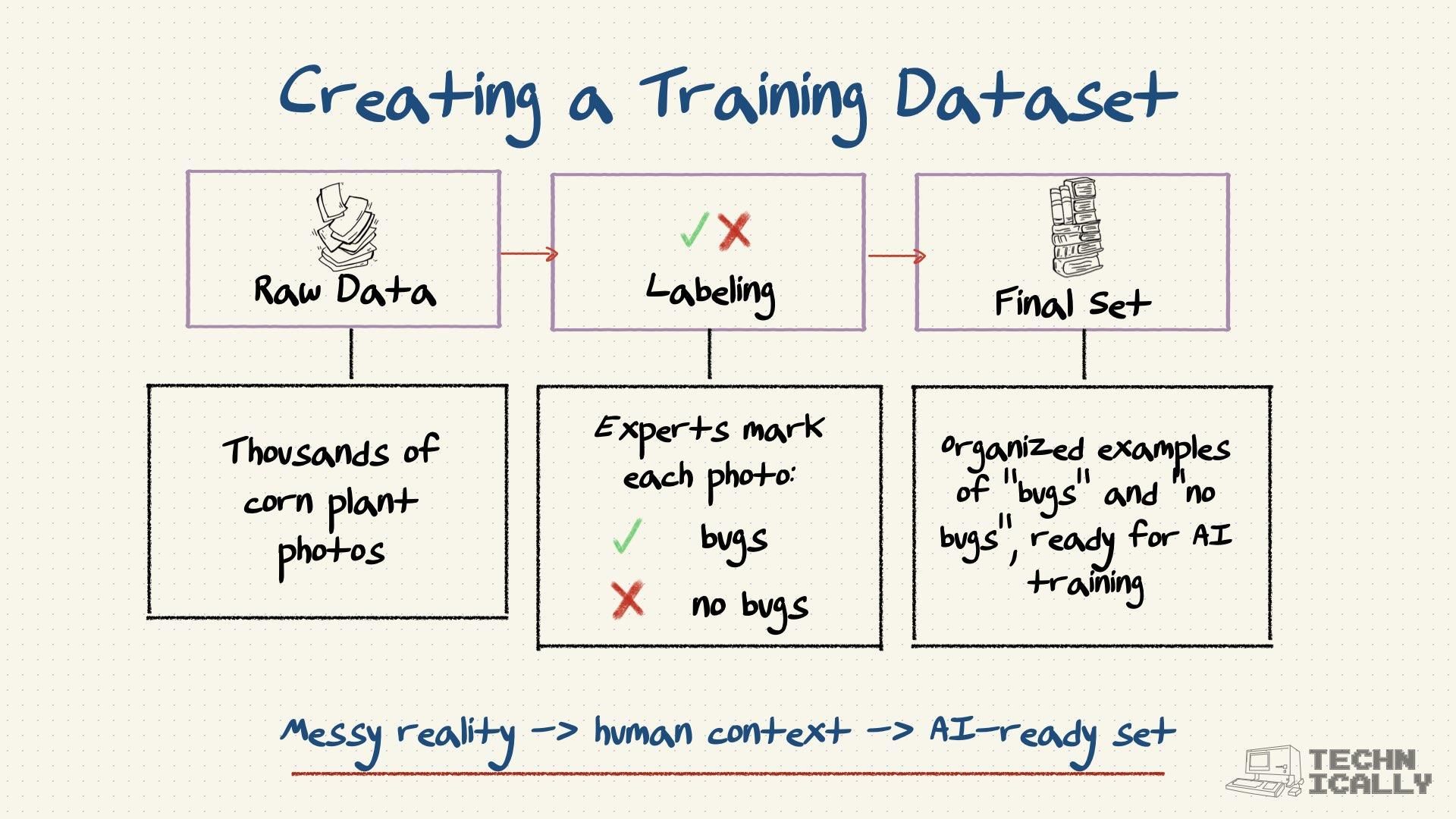 Training Dataset