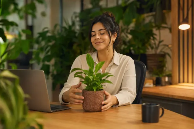 Escritorio de equipo con planta y pausa de bienestar