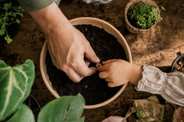 Familia realizando un plan de sábado con tierra, plantas y juego guiado
