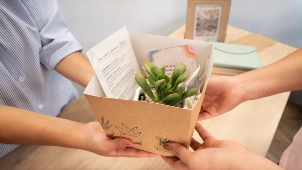 Planta orejas de Shrek en una caja de regalo de Almaria con tarjeta reflexiva y guía de cuidado