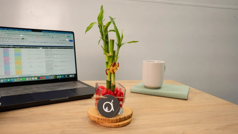Bambú de la suerte con monedas chinas doradas en un recipiente de vidrio, sobre un escritorio junto a una laptop y una taza.