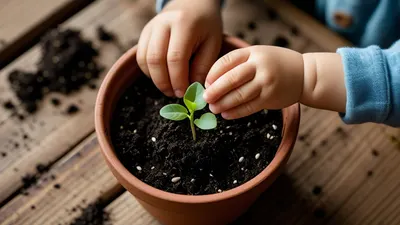Manos de adulto y niño plantando una semilla. "Explorando el mundo sensorial: Actividades creativas para niños de 4 a 11 años