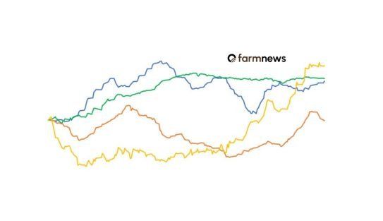 Cotações de boi gordo, bezerro, milho e soja na primeira quinzena de setembro de 2026