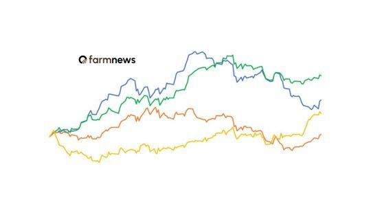 Cotações em dólar de boi gordo, bezerro, milho e soja na primeira quinzena de julho de 2026