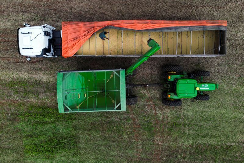Sanção da MP do Frete preocupa setor agro com pressão nos custos de escoamento