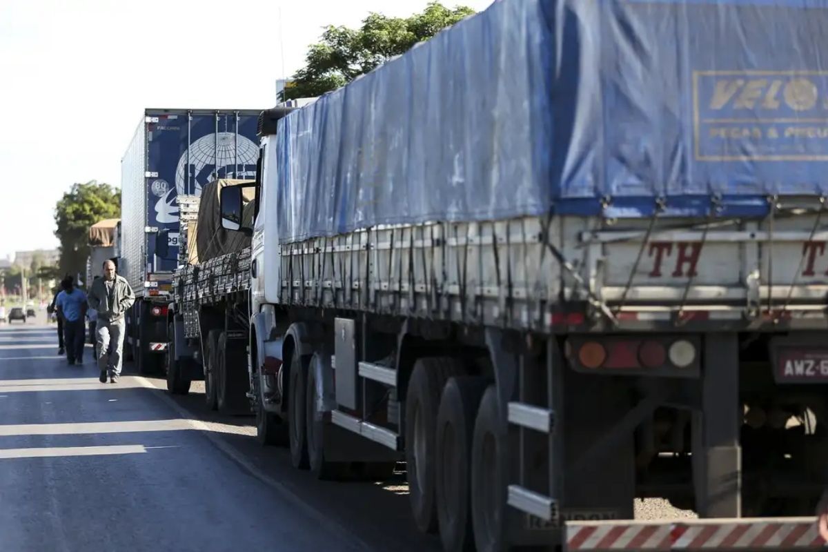 Custo de transporte de grãos segue elevado e apresenta diferenças expressivas entre regiões do Brasil