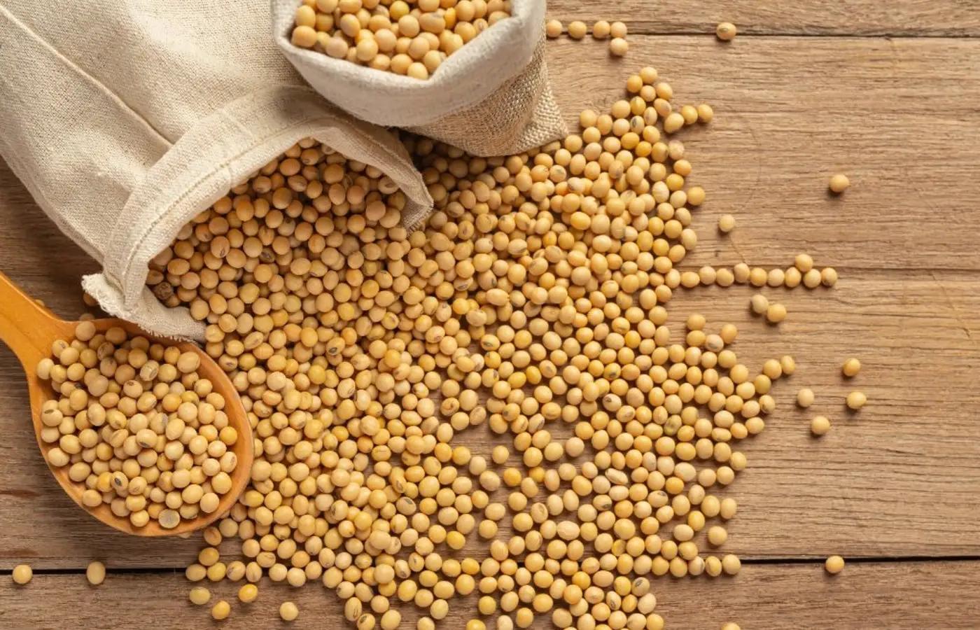 Soja e trigo registram movimentação de preços nas praças agrícolas nesta sexta-feira