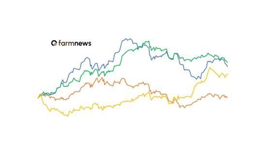 Cotações em dólar do boi gordo, bezerro, milho e soja na primeira quinzena de agosto de 2026