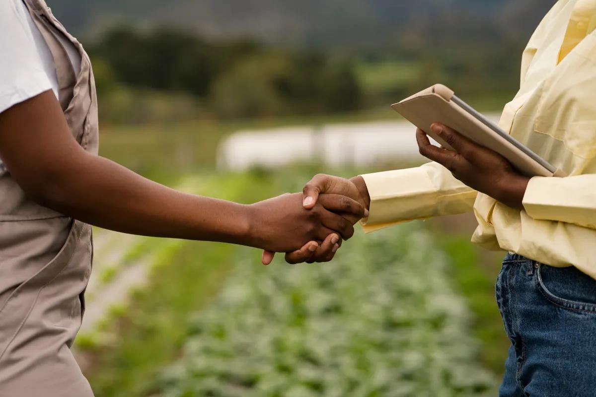 Infraestrutura logística do agro brasileiro: entre avanços e entraves ao escoamento da safra