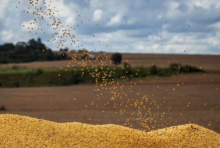 Recuo da soja em Chicago atinge patamar mais baixo em dois meses e freia vendas no campo brasileiro