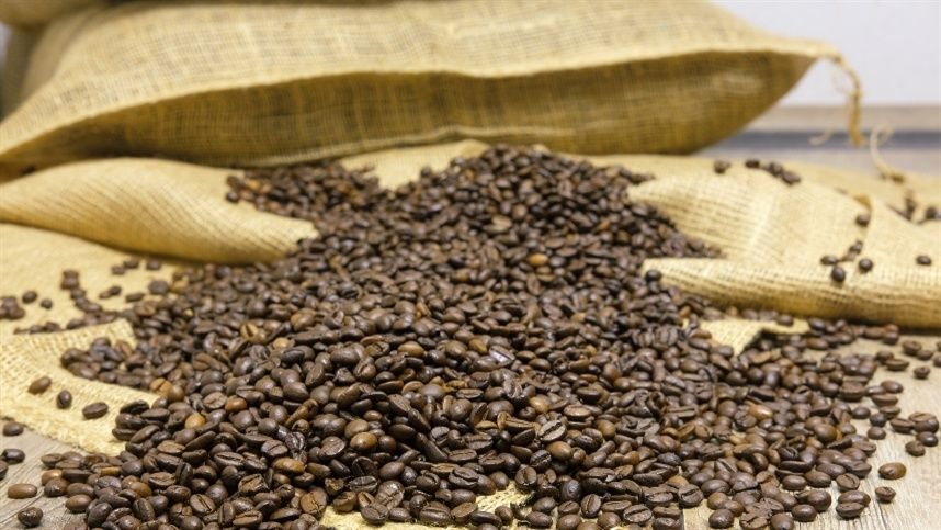 Câmbio, bolsas e demanda externa ditam o ritmo das cotações de café, boi e soja no Brasil