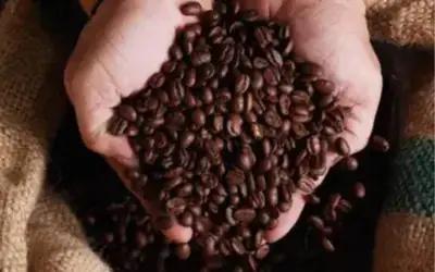 Cotações do café na sessão de encerramento da semana refletem dinâmica do mercado internacional