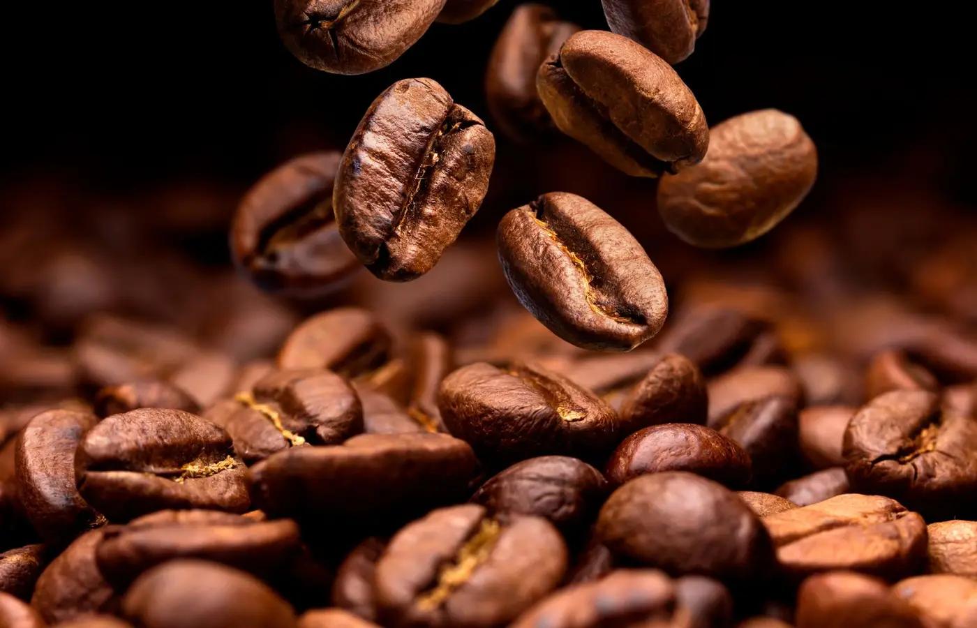 Cotações do café na segunda-feira refletem dinâmica de início de semana no mercado interno