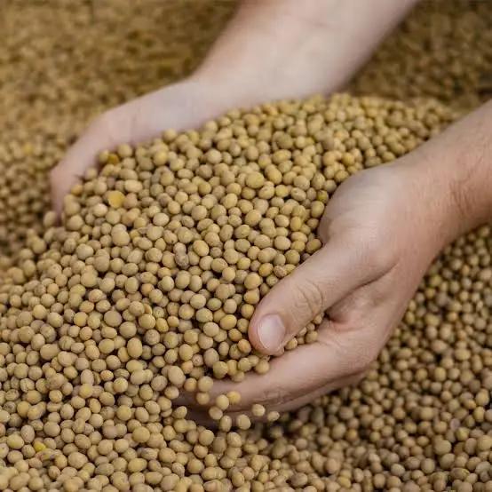 Soja e trigo registram variações de preço no mercado brasileiro nesta semana