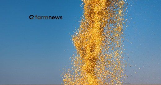 Contratos futuros de milho para junho operam próximos às mínimas desde setembro de 2026