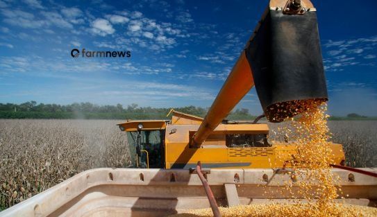 Contratos futuros de milho ganham estabilidade na segunda quinzena de setembro