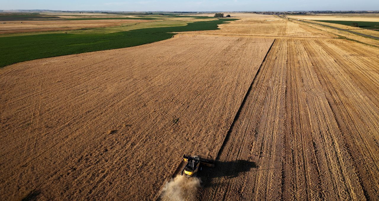 Produtores argentinos seguram estoque de trigo à espera de valorização no mercado