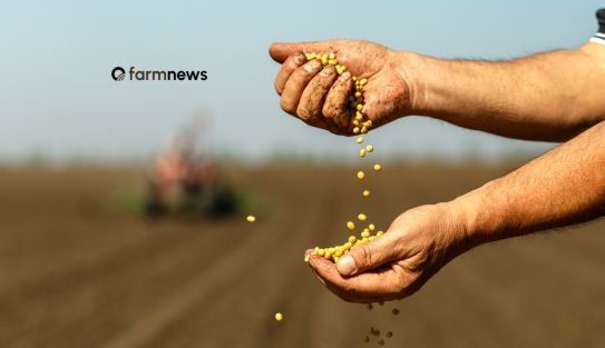Cotações da soja avançam e buscam recuperar níveis anteriores à queda de 2023
