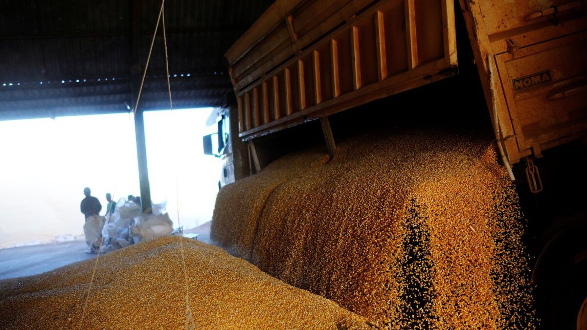 Custo de transporte recua em julho, mas colheita do milho deve reverter tendência em agosto