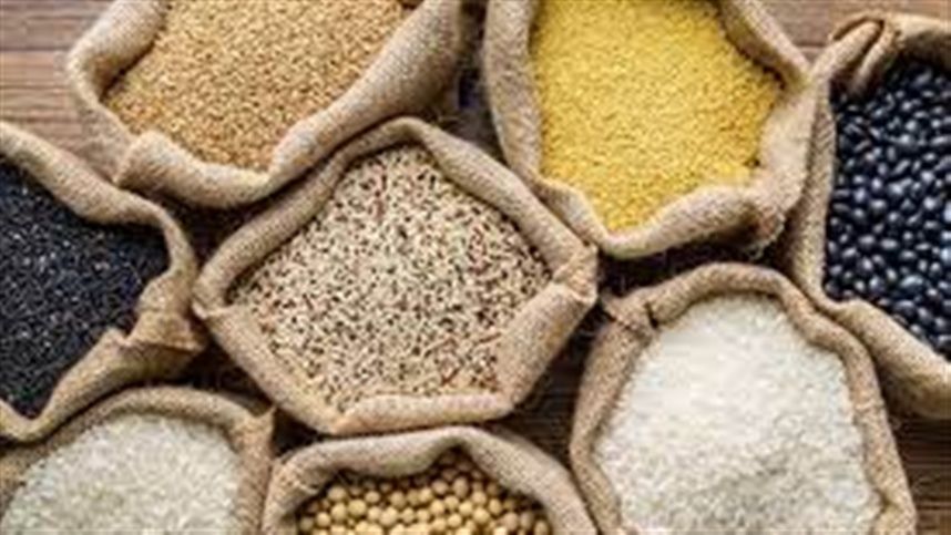 Alta no custo do transporte de grãos pressiona margens dos produtores mato-grossenses