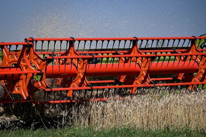 Argentina registra ritmo fraco de comercialização de trigo abaixo das projeções