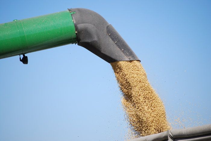 Cotações da soja recuam no mercado interno com atenção às condições climáticas das regiões produtoras