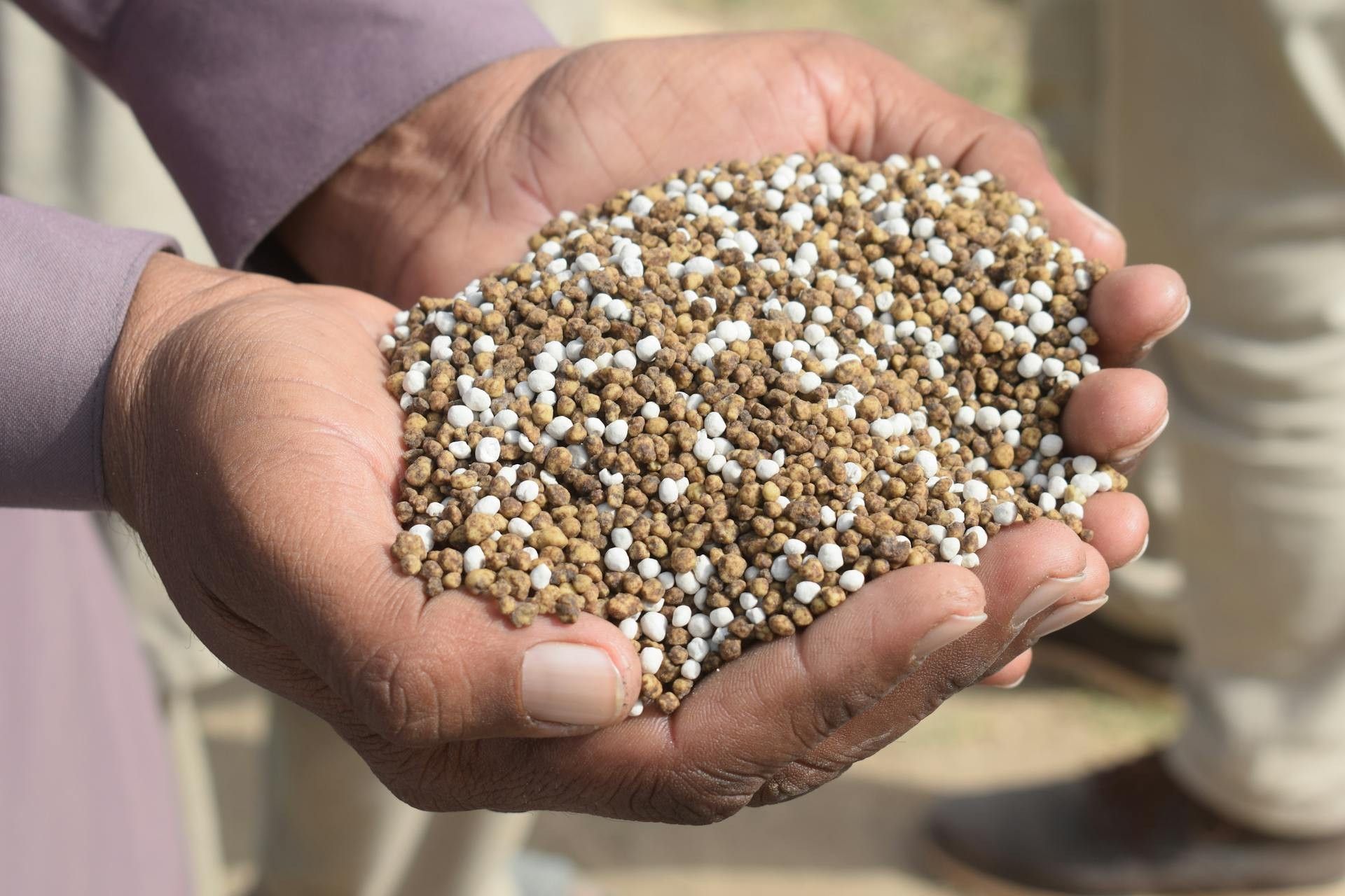 Insumos em alta e El Niño no radar: combinação acende alerta para custos e preços agrícolas