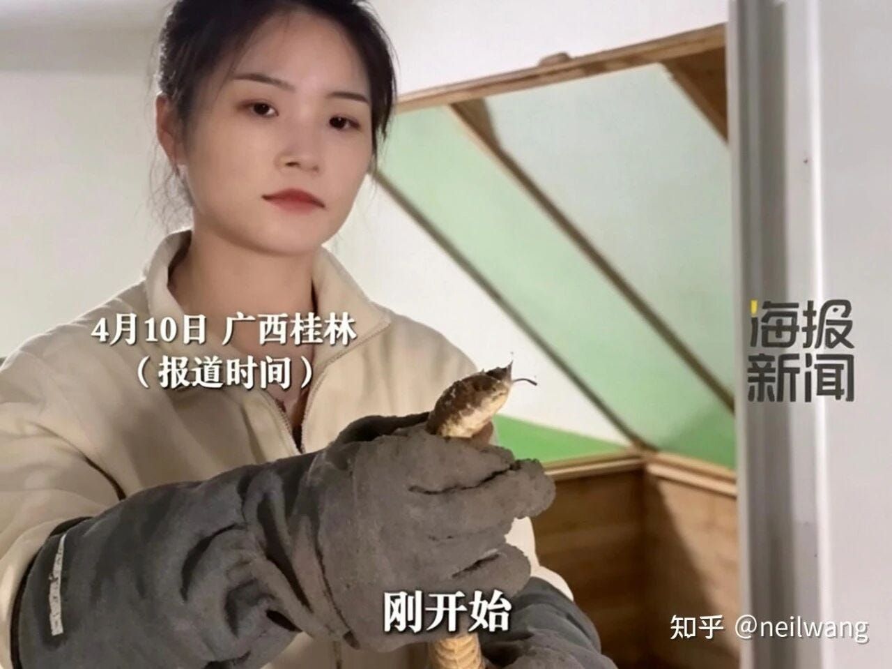 60,000 Venomous Snakes and a Viral Million RMB Claim