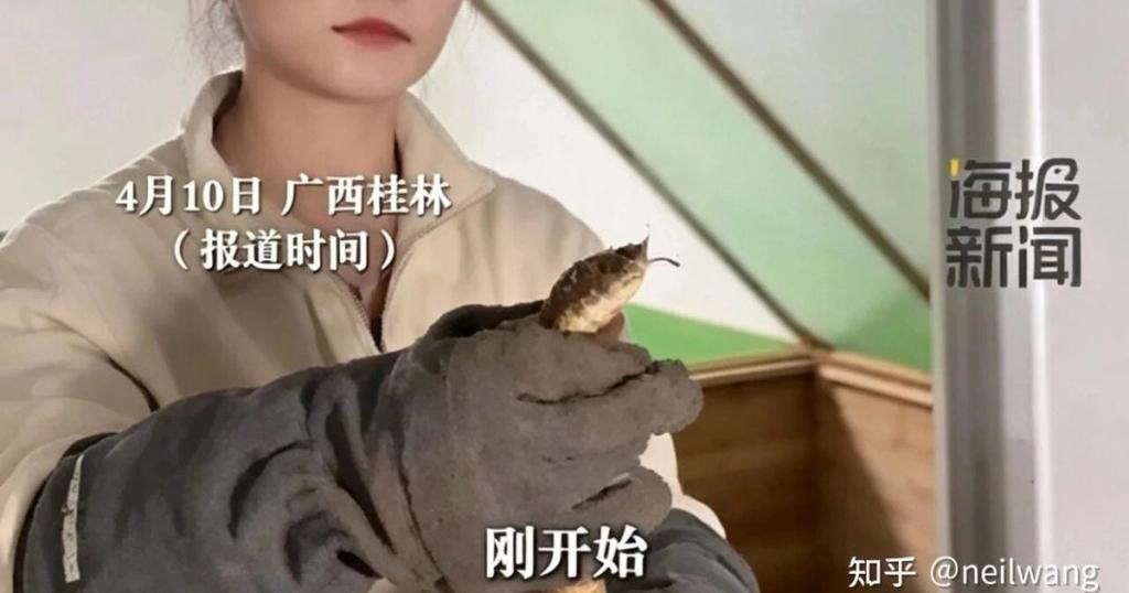 60,000 Venomous Snakes and a Viral Million RMB Claim