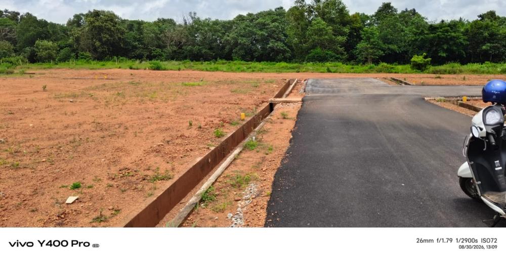 Real Estate & Land Development gallery image 5