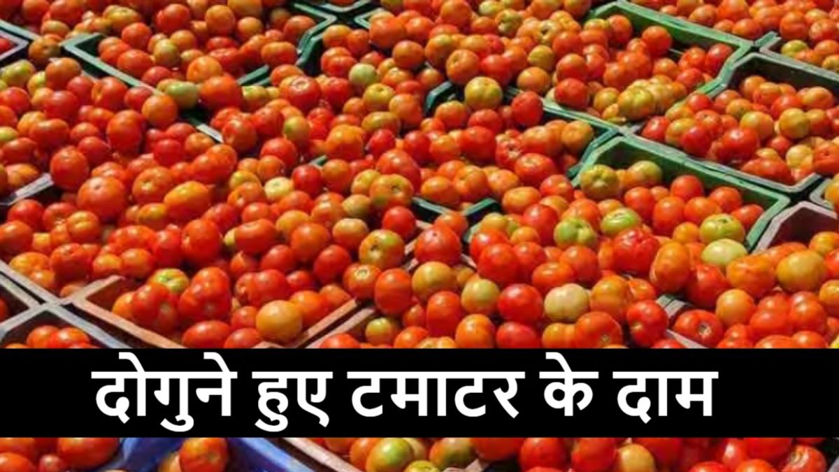 टमाटर की कीमतों में तेजी, प्रमुख मंडियों में दोगुने से ज्यादा बढ़े थोक भाव