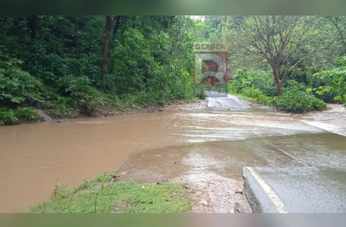 पलामू टाइगर रिजर्व में बेतला-गारू सड़क को काटती सतनदिया नदी