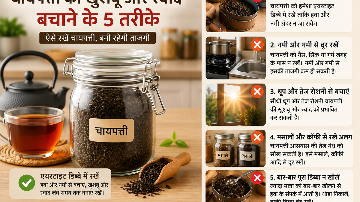 चायपत्ती को एयरटाइट डिब्बे में सही तरीके से स्टोर करने का तरीका